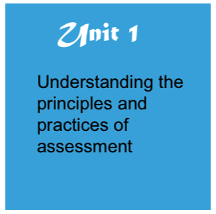 understanding assessor unit